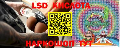 спиды Гатчина