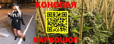 спиды Гатчина