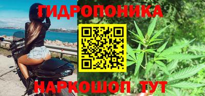 спиды Гатчина