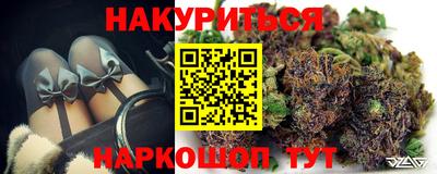 спиды Гатчина