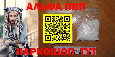 спиды Гатчина