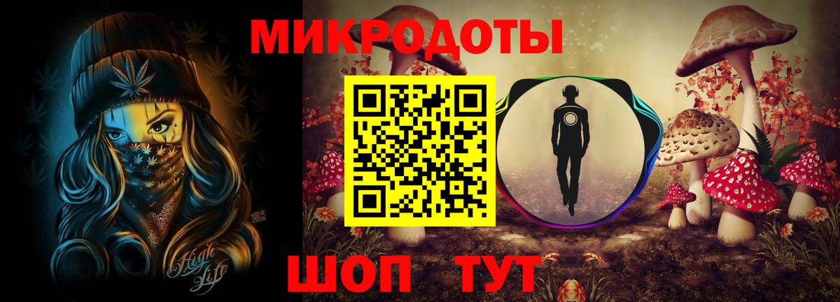 Псилоцибиновые грибы Psilocybe Ишим