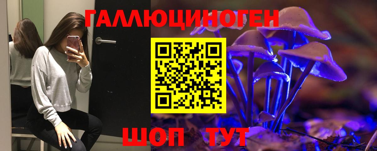 магазин    Ишим  Псилоцибиновые грибы Psilocybine cubensis 